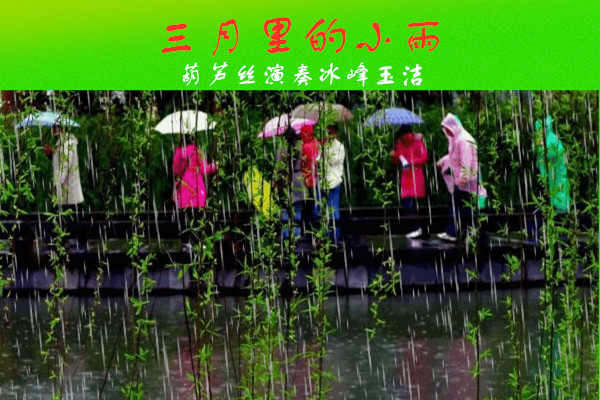 小雨泵业